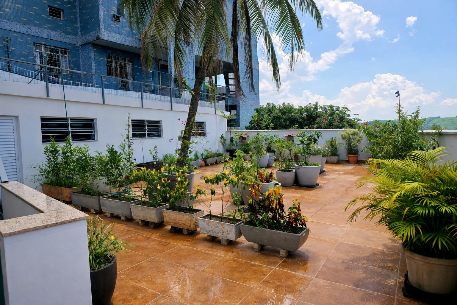 Jardim